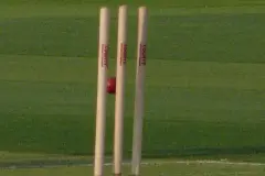 How Many Wickets Are There in Cricket? Full Breakdown for Every Format Explained